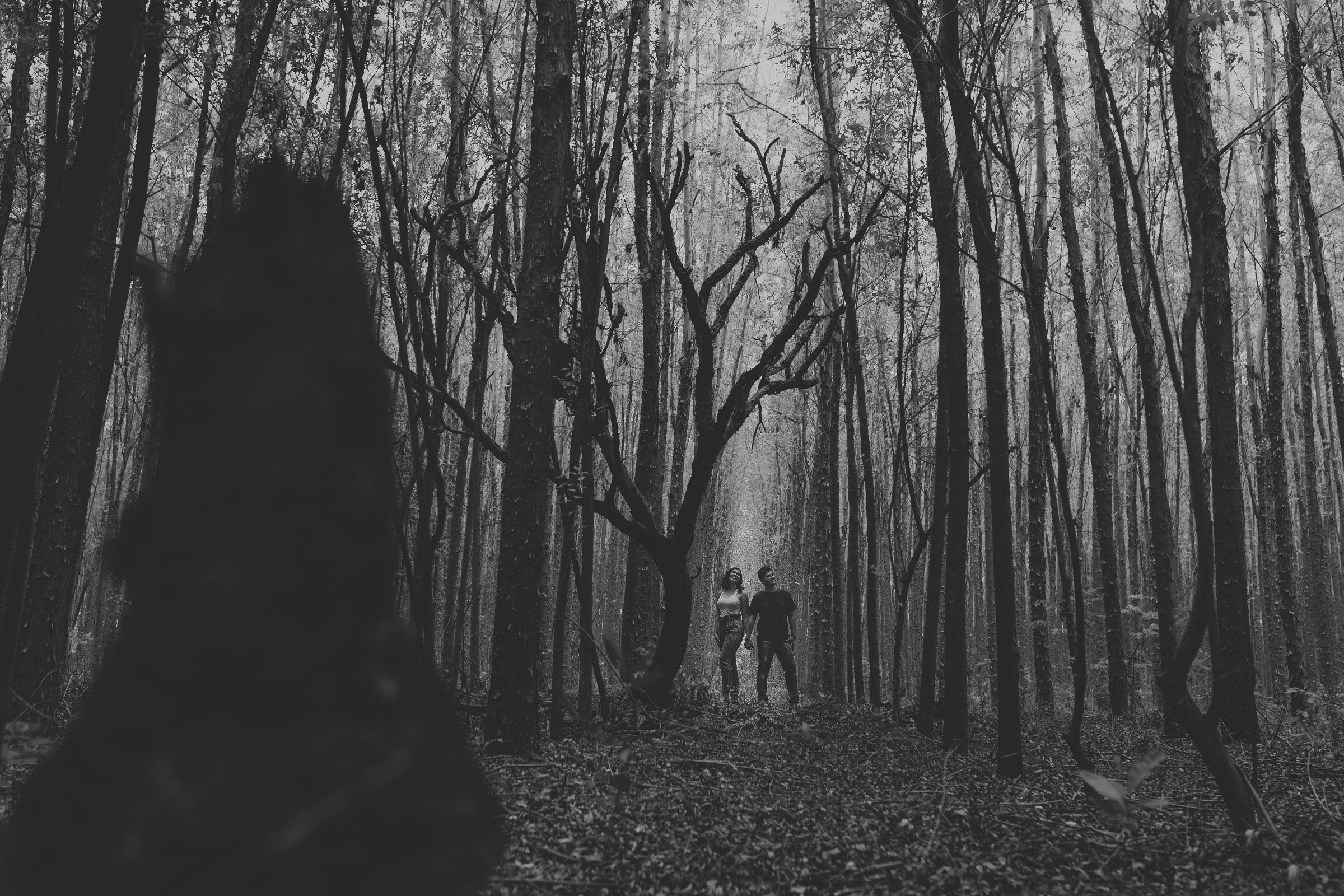 Foto de Ded&eacute;Machado 9